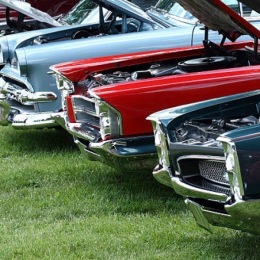 Instagram post from @abodereidscove on June 05, 2024 13:07:02pm